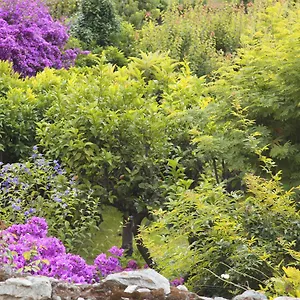 Bed & Breakfast Casa Nobile